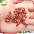 Precio barato Chino Red Sichuan Pepper